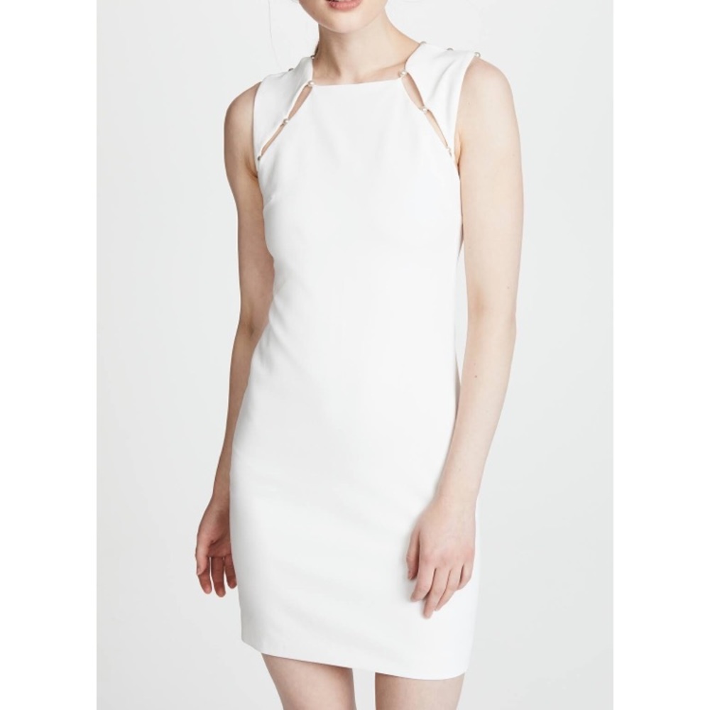 Alice and Olivia dress